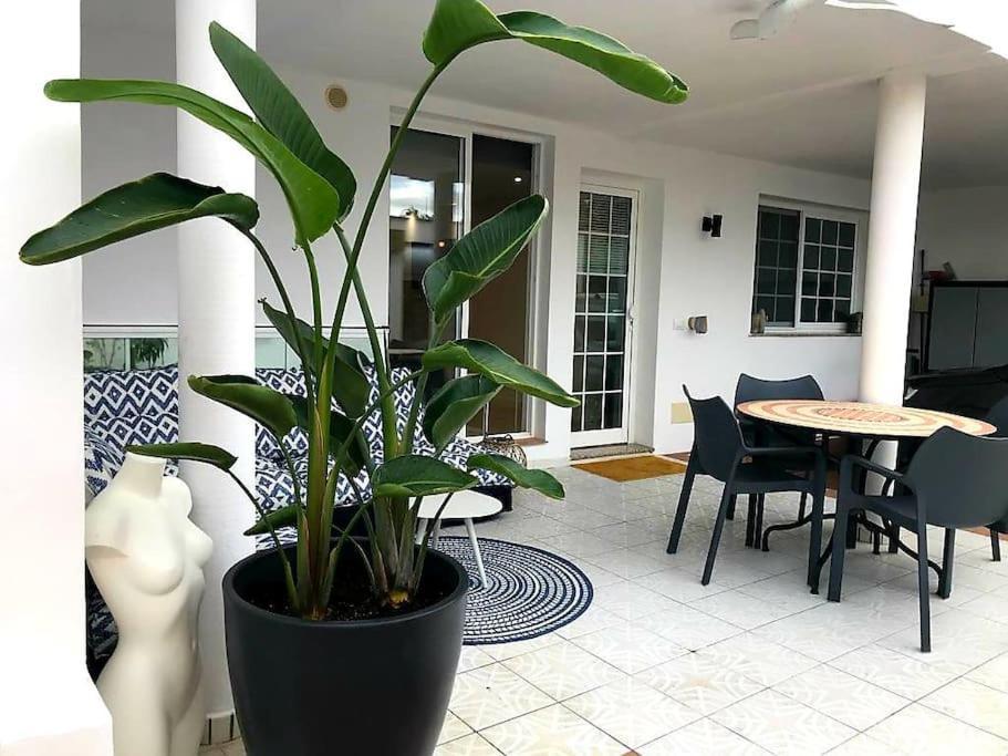 Pura Vida Strandnahes Ferienappartment In Bester Lage! Πουέρτο Ντε Λα Κρουζ Εξωτερικό φωτογραφία